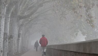 Comment Toulouse se prépare à affronter la vague de froid qui touche la France entière