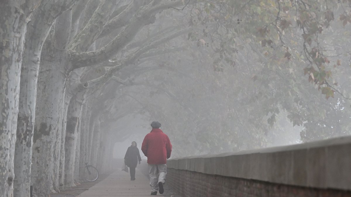 Comment Toulouse se prépare à affronter la vague de froid qui touche la France entière