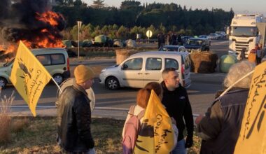 Les éleveurs de bovins mobilisés à Montpellier : opération escargot de la Conf’jusqu’au Département, ce mercredi