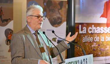 "La problématique des sangliers s’installe dans les villes" : le président de la Fédération départementale des chasseurs présente les enjeux