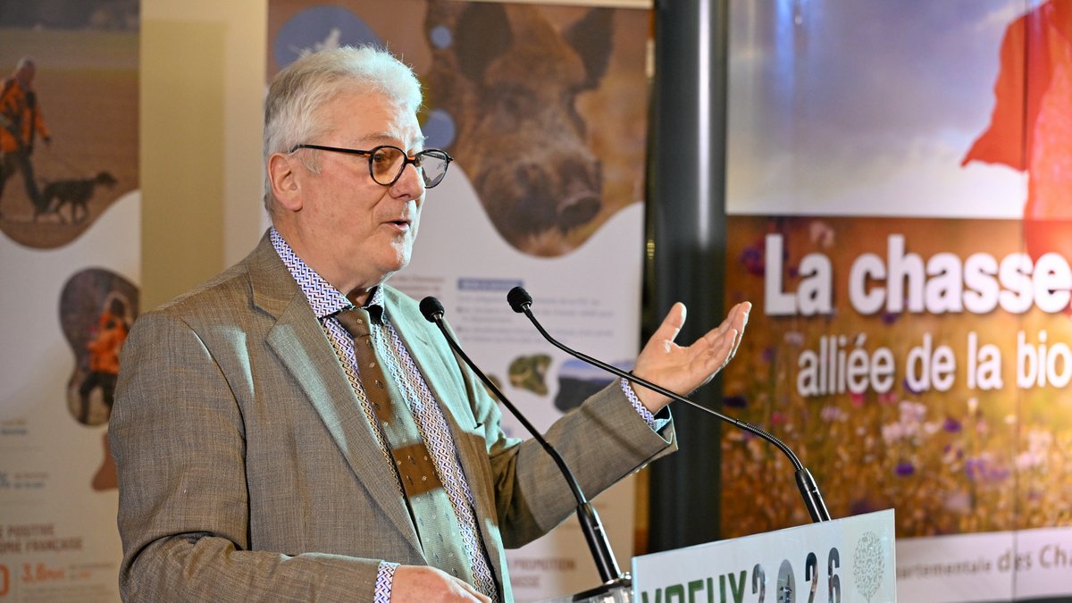 "La problématique des sangliers s’installe dans les villes" : le président de la Fédération départementale des chasseurs présente les enjeux