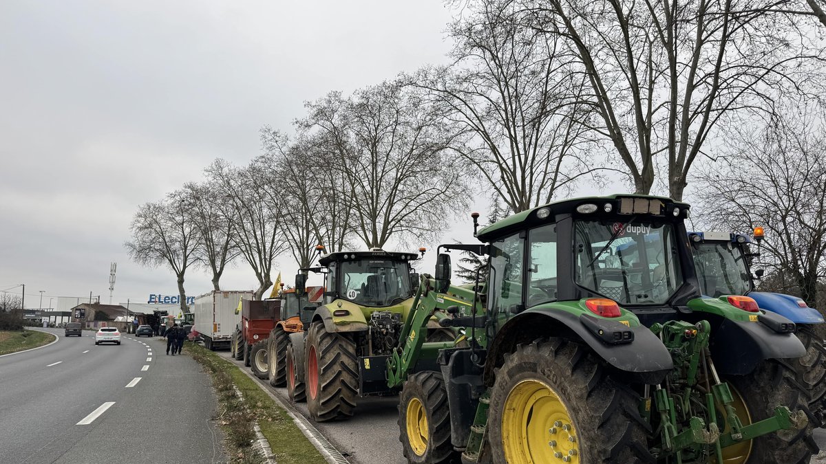 Colère des agriculteurs : un agriculteur tarnais interpellé et placé en garde à vue en marge de la manifestation toulousaine