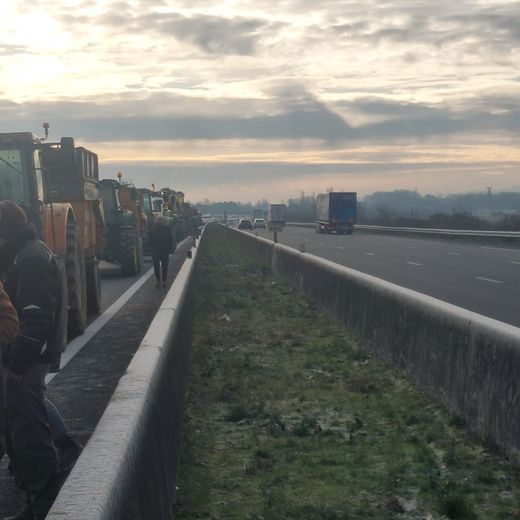 Au cœur de la colère, le protocole sanitaire sur la dermatose nodulaire contagieuse (DNC).