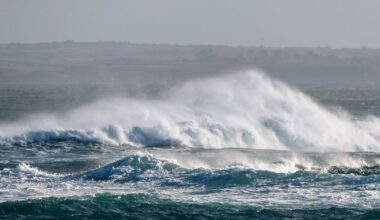 illustration agrandir l