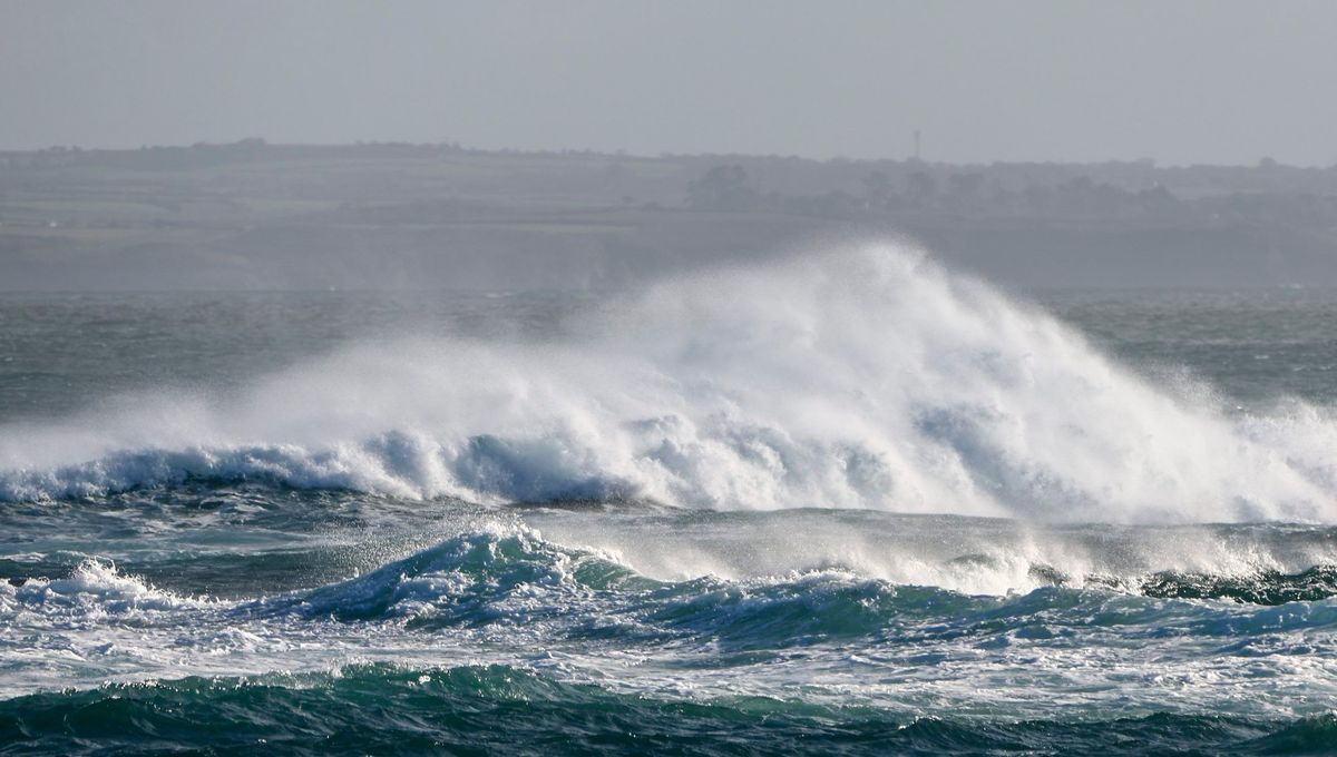 illustration agrandir l