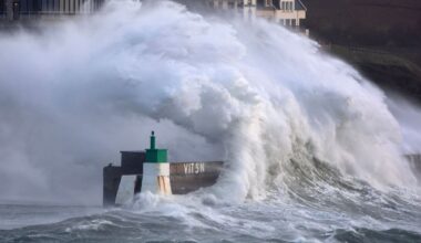 illustration agrandir l