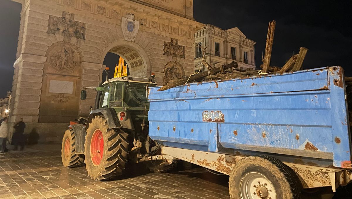 illustration agrandir l