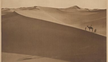 A Photo Elysée, un nécessaire questionnement autour des archives coloniales du studio allemand Lehnert & Landrock, fleuron de l’iconographie orientaliste