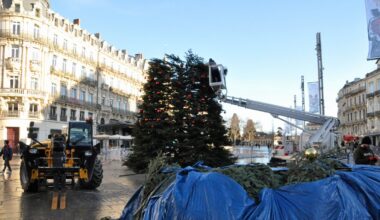 Clap de fin pour le sapin de Noël sur la Comédie : l’arbre de 15 mètres a été démonté à Montpellier