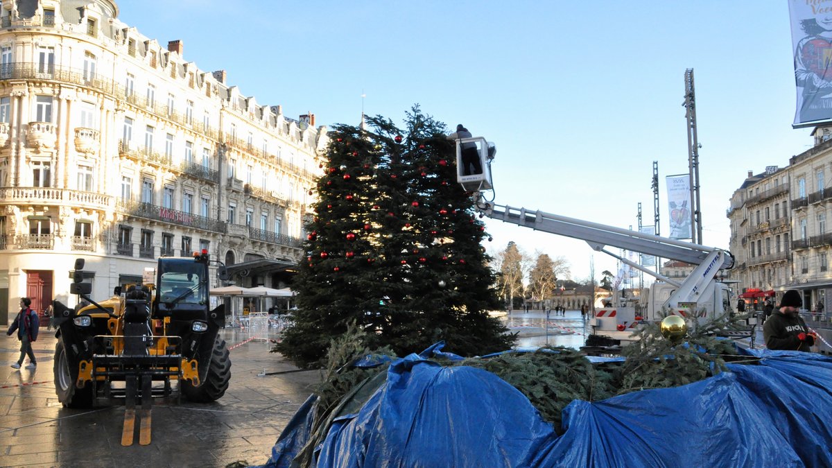 Clap de fin pour le sapin de Noël sur la Comédie : l’arbre de 15 mètres a été démonté à Montpellier
