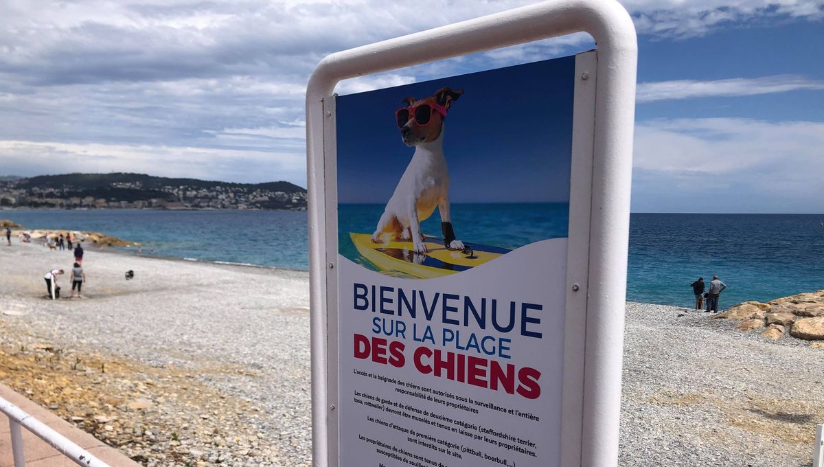 illustration agrandir l