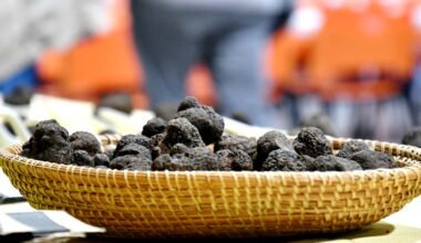 Sortir à Montpellier : Fête de la truffe, Folies Douces, Généreux déballage, fête de l’hiver… des idées pour ce dimanche 11 janvier