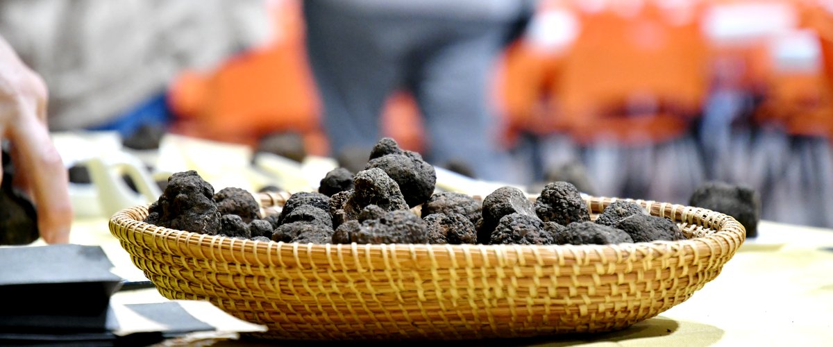 Sortir à Montpellier : Fête de la truffe, Folies Douces, Généreux déballage, fête de l’hiver… des idées pour ce dimanche 11 janvier