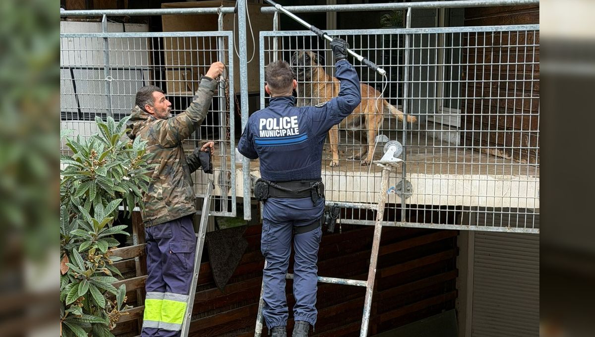 illustration agrandir l