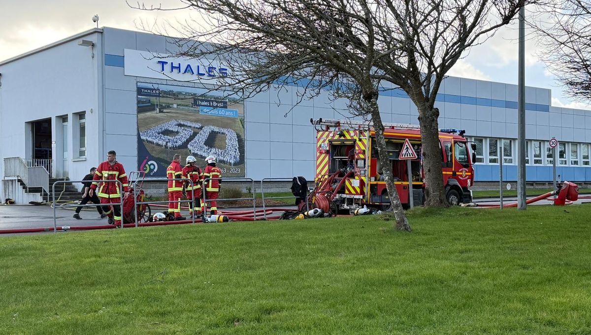 illustration agrandir l