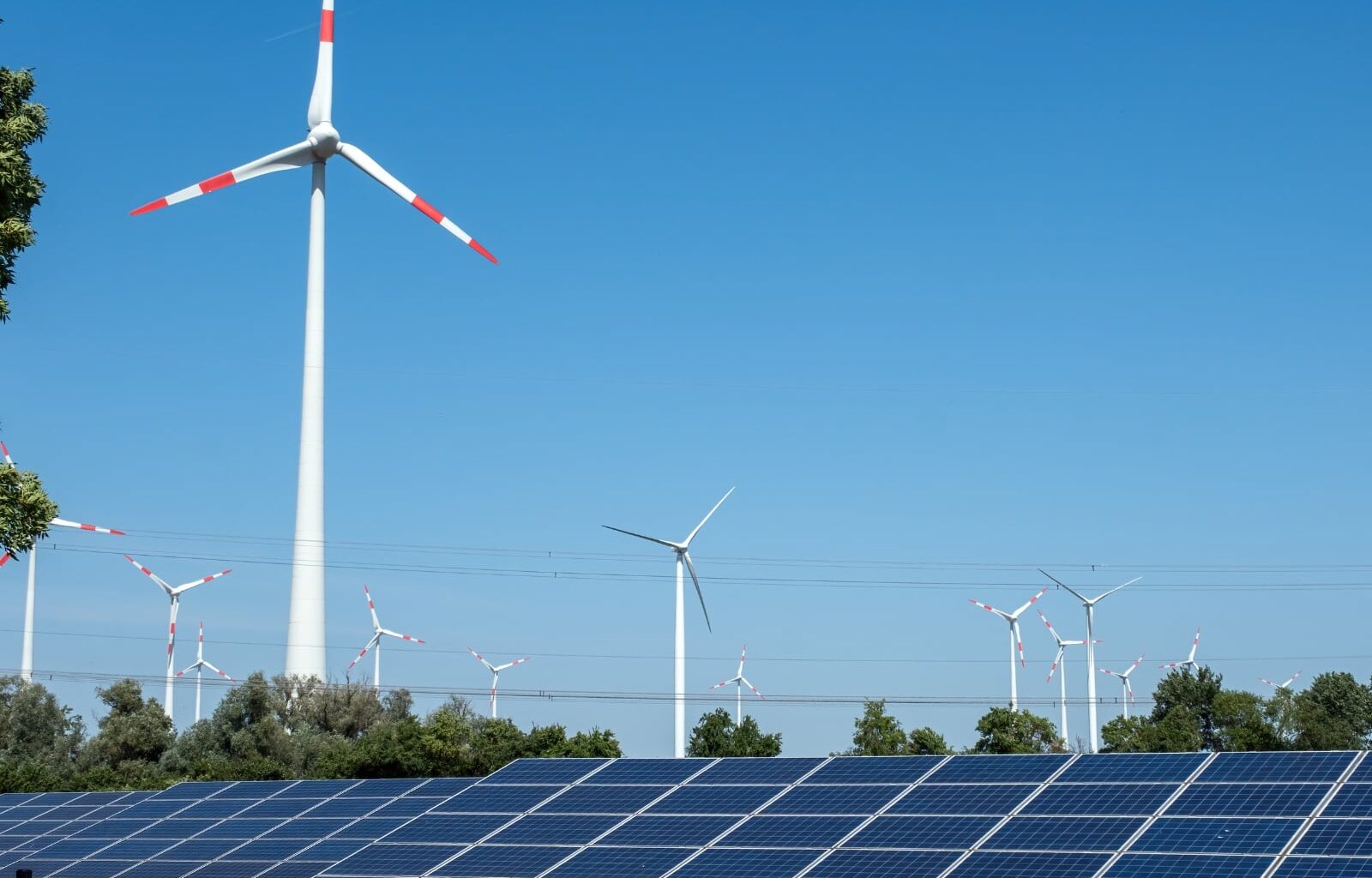 Photo de Nathalie MAYER