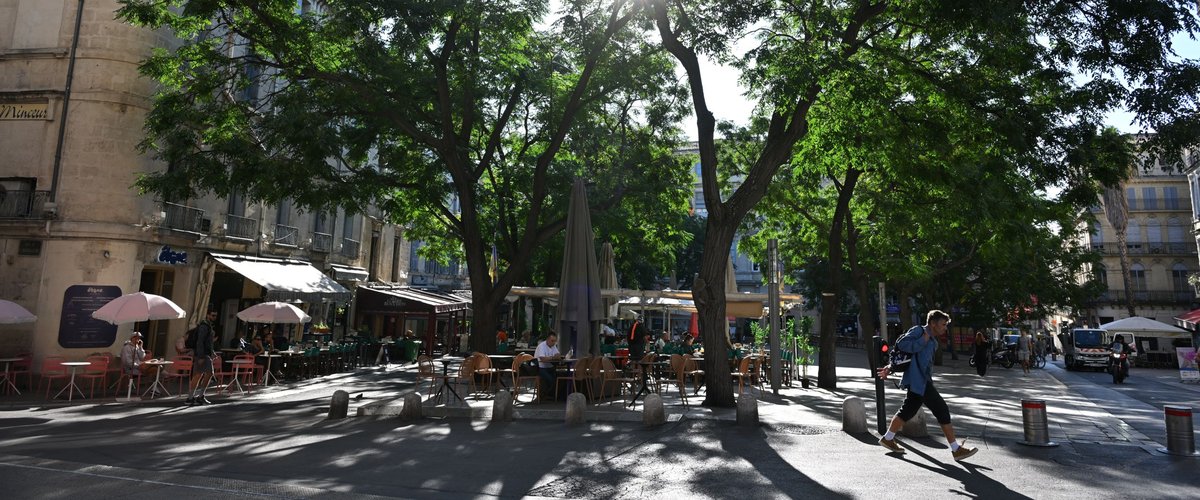 Il pointe une arme "trouvée dans la rue" sur son éducateur et profère des menaces contre sa voisine : un Montpelliérain condamné à un an de prison