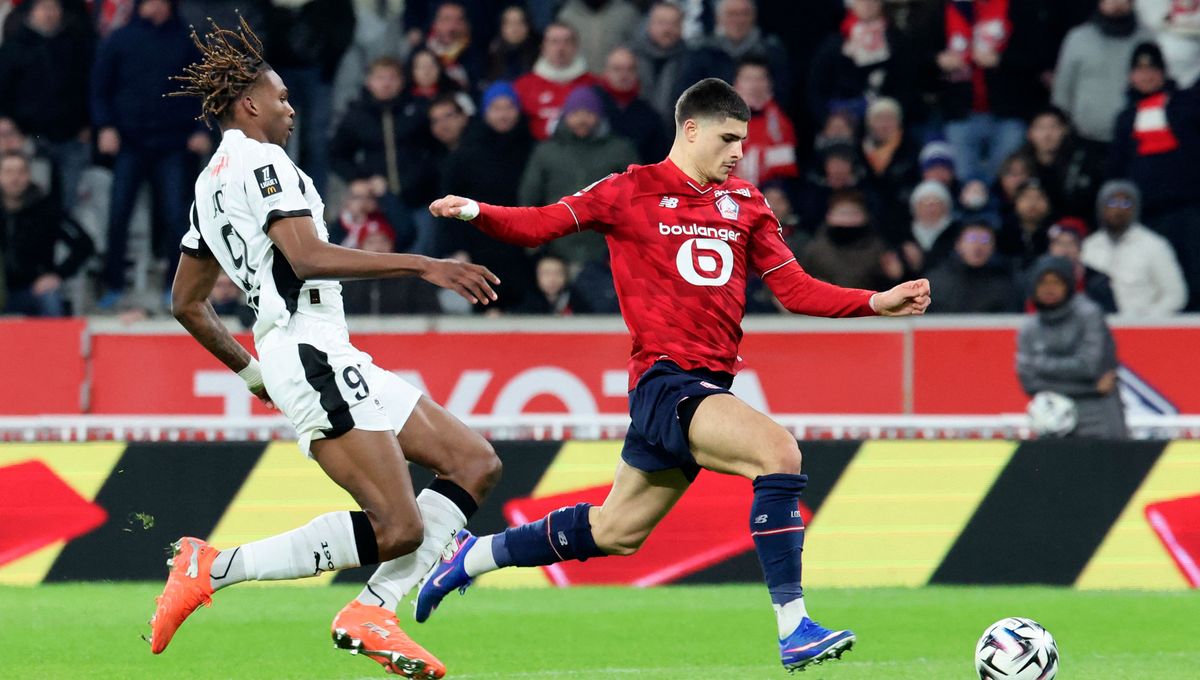 illustration agrandir l