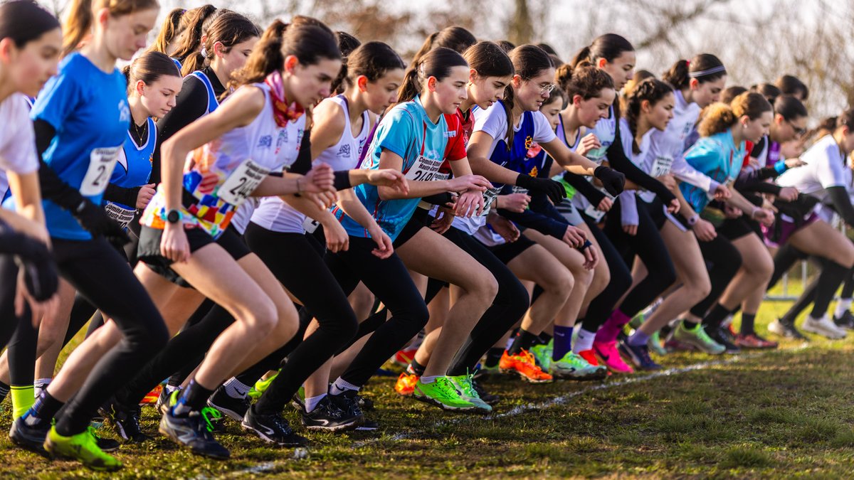 Championnats départementaux de cross-country : le Grand Toulouse Athlétisme garde la mainmise
