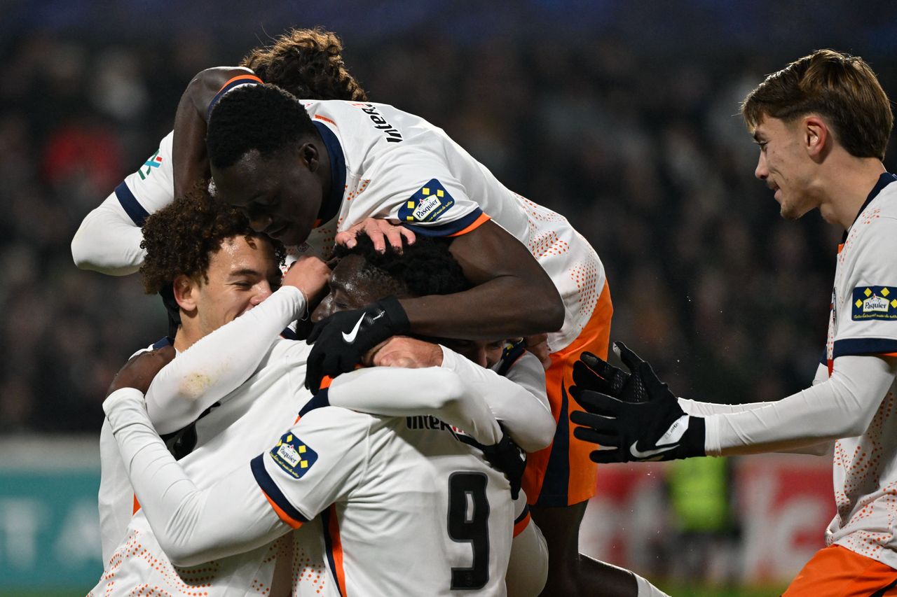 illustration agrandir l'image