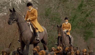 quand les cavaliers font la chasse aux... joggeurs