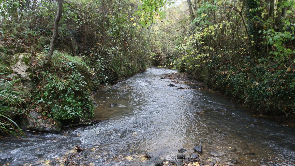 Neste et rivières de Gascogne : deux ciné-débats dans le Gers pour découvrir le film "D’eau et de terre"