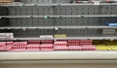 Pour quelles raisons est-il si difficile de trouver des œufs ?