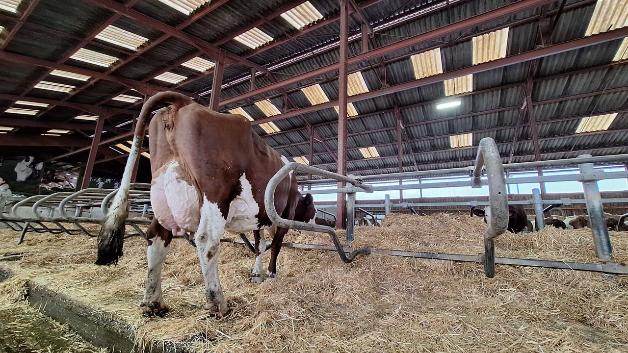 illustration agrandir l'image