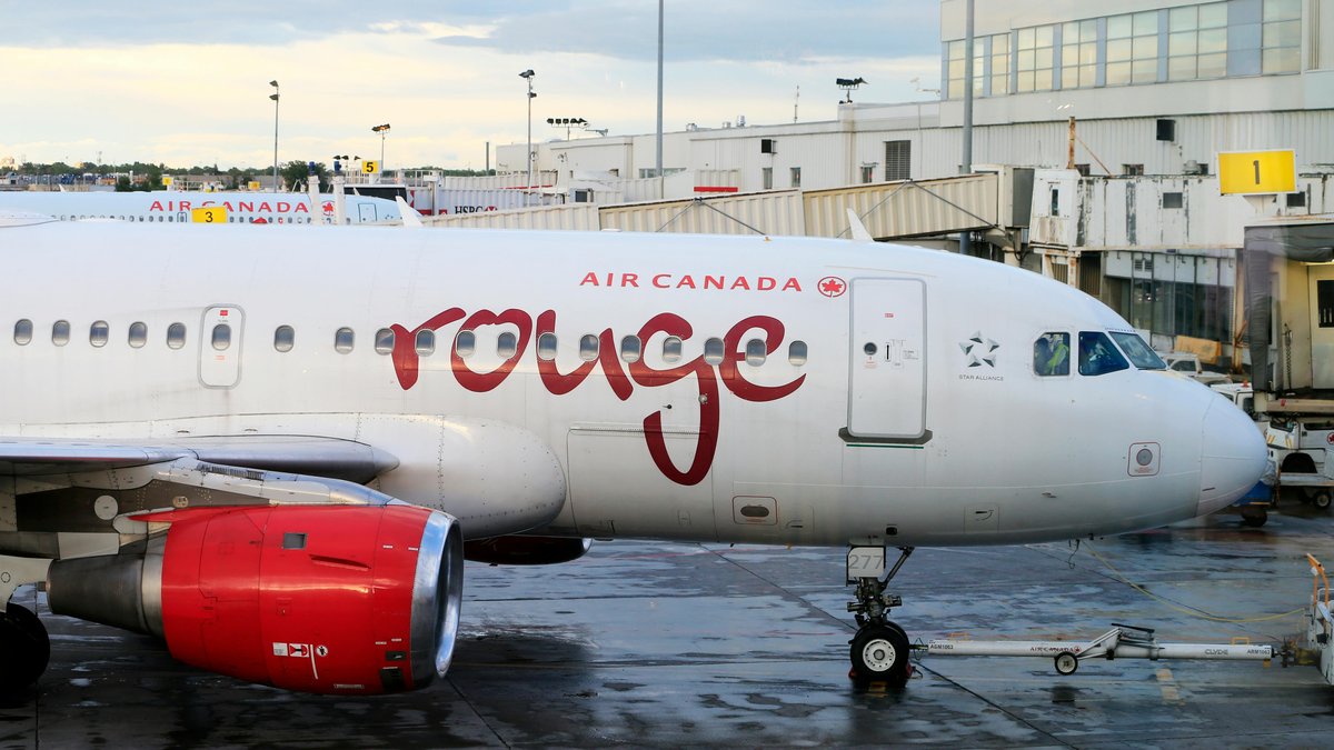 Leur avion est sur le point de décoller quand ils entendent des cris : un bagagiste était enfermé dans la soute