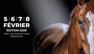 illustration agrandir l