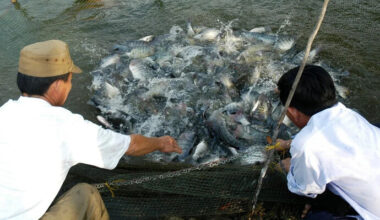 un partenariat de 15 millions de dollars avec les États-Unis