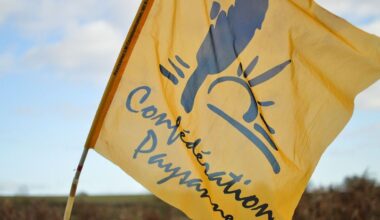 illustration agrandir l