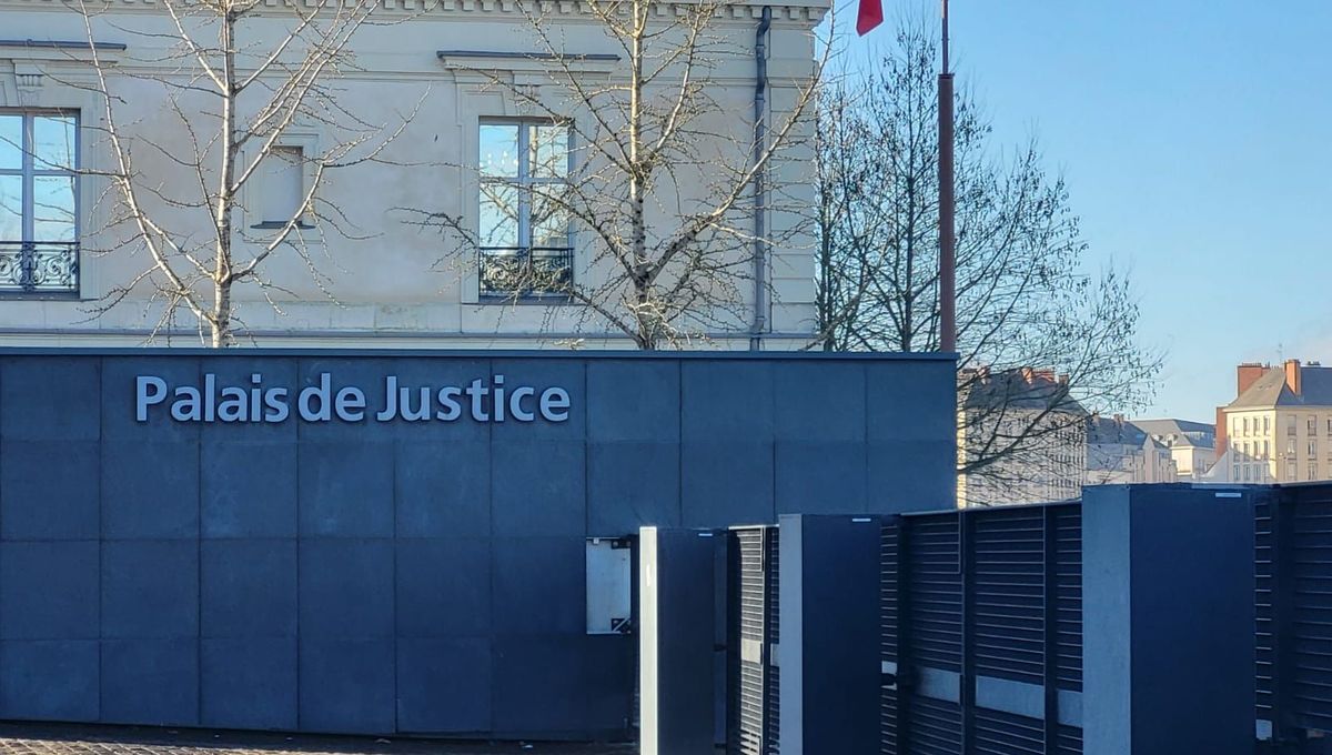 illustration agrandir l