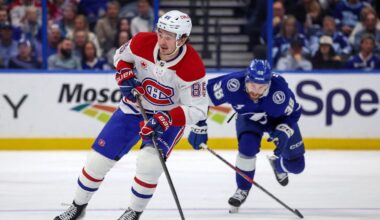 illustration agrandir l