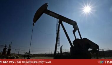 Vietnam.vn - Nền tảng quảng bá Việt Nam