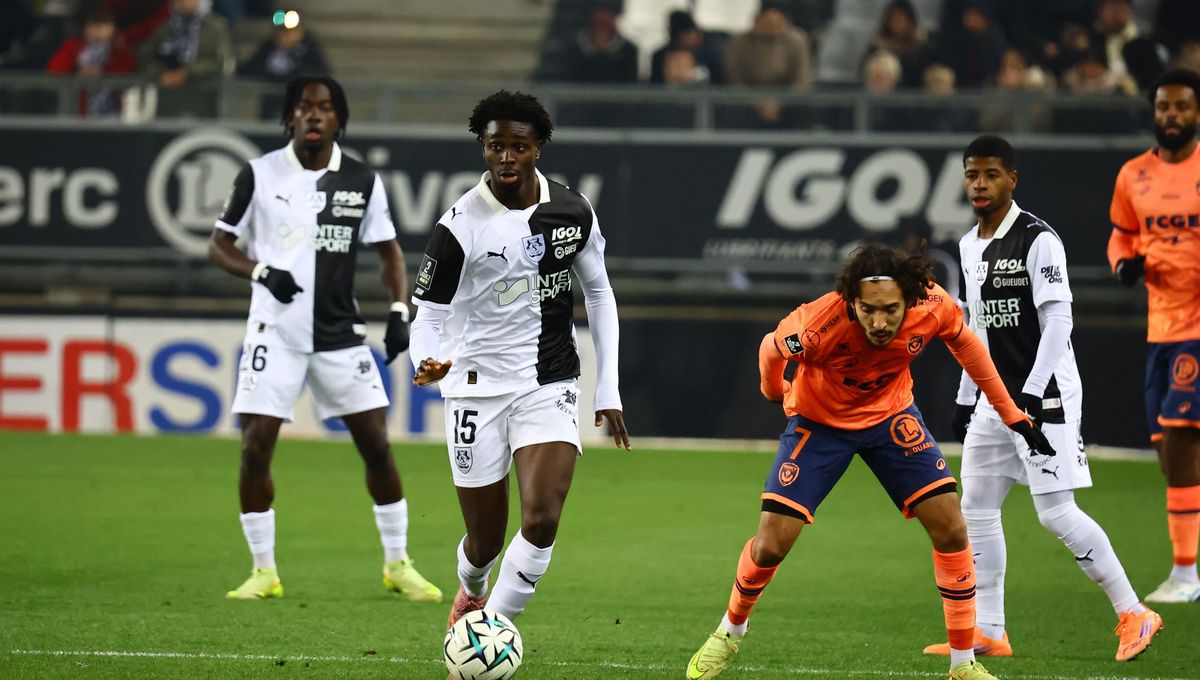 illustration agrandir l'image