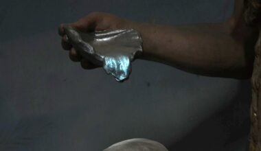 Les mystérieuses pommes bleues apparaîtront-elles ce 17 janvier à Rennes-le-Château ?