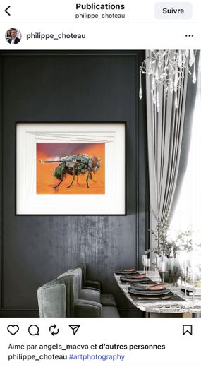 Cette photo de Tsvetan Ganev a été récompensée par un prix de l’International Garden Photographer of the Year.