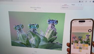 "Je n’ai jamais donné mon accord": des photographes internationaux dénoncent l’utilisation de leurs œuvres par un photographe toulousain