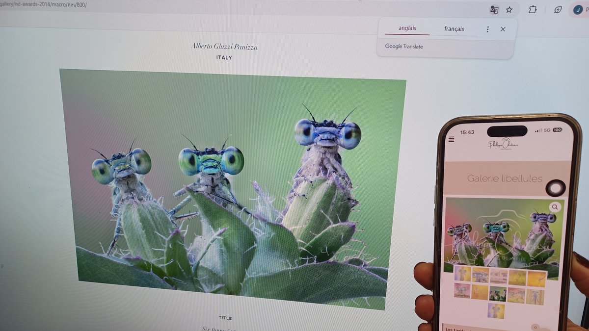 "Je n’ai jamais donné mon accord": des photographes internationaux dénoncent l’utilisation de leurs œuvres par un photographe toulousain