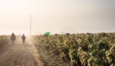 Le Voyage à Nantes se dévoile entre "Terre et Muscadet"