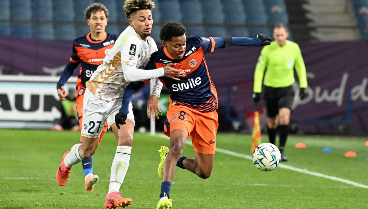 illustration agrandir l