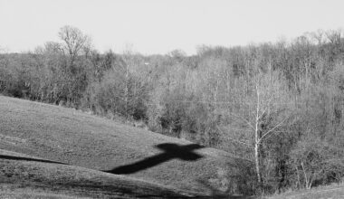 « Vingt ans après, il n’a plus le même corps, sa corpulence de bête de somme surentraînée au combat, prête et dispo pour jouer avec la mort, a fondu comme neige au soleil »