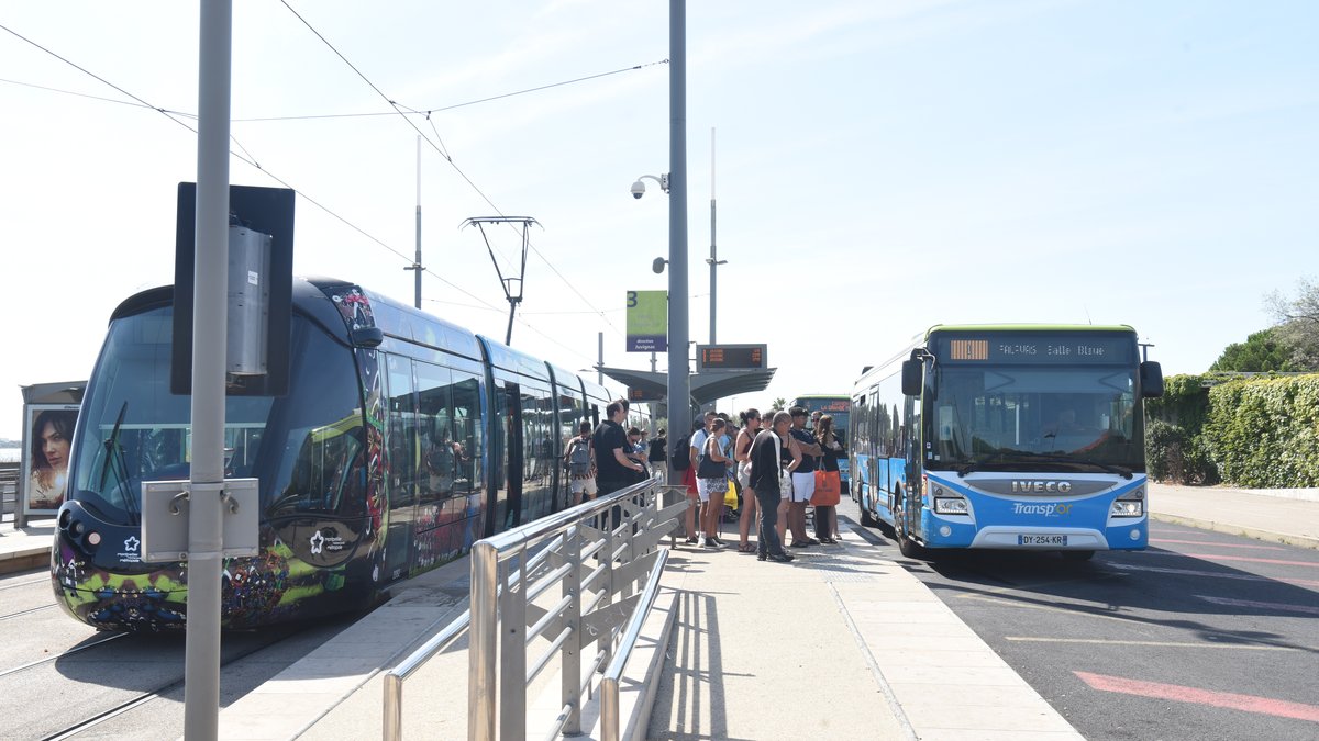 Municipales 2026 à Montpellier. "Il sortira des frontières de la Métropole" : Michaël Delafosse projette-t-il de faire aller le tramway jusqu’à la mer ?
