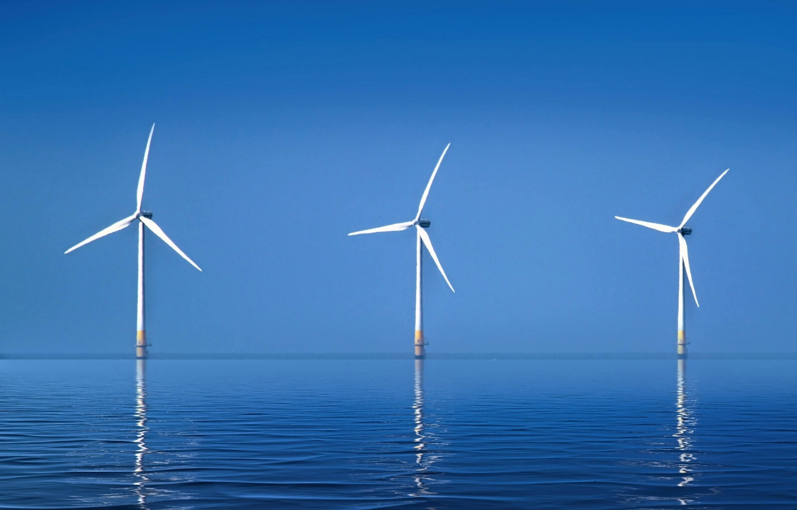 Photo de Miotisoa RANDRIANARISOA