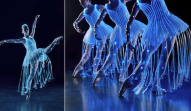 une « expérience magique » arrive près de Strasbourg