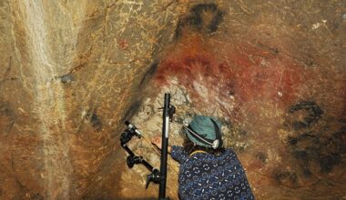ENTRETIEN. Grotte de Gargas : pourquoi les célèbres "mains", datant de 27 000 ans, risquent de s’effacer d’ici un siècle
