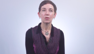 Lecornu demande une enquête sur le recrutement d’Anne Le Strat à l’Office français de la biodiversité