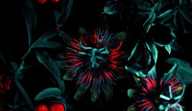 Réseau Mia : Émilie Arfeuil et "Hylé" inaugurent la galerie