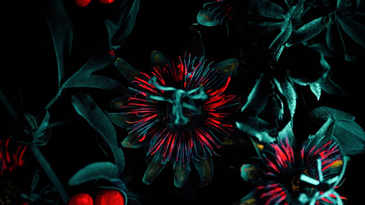 Réseau Mia : Émilie Arfeuil et "Hylé" inaugurent la galerie